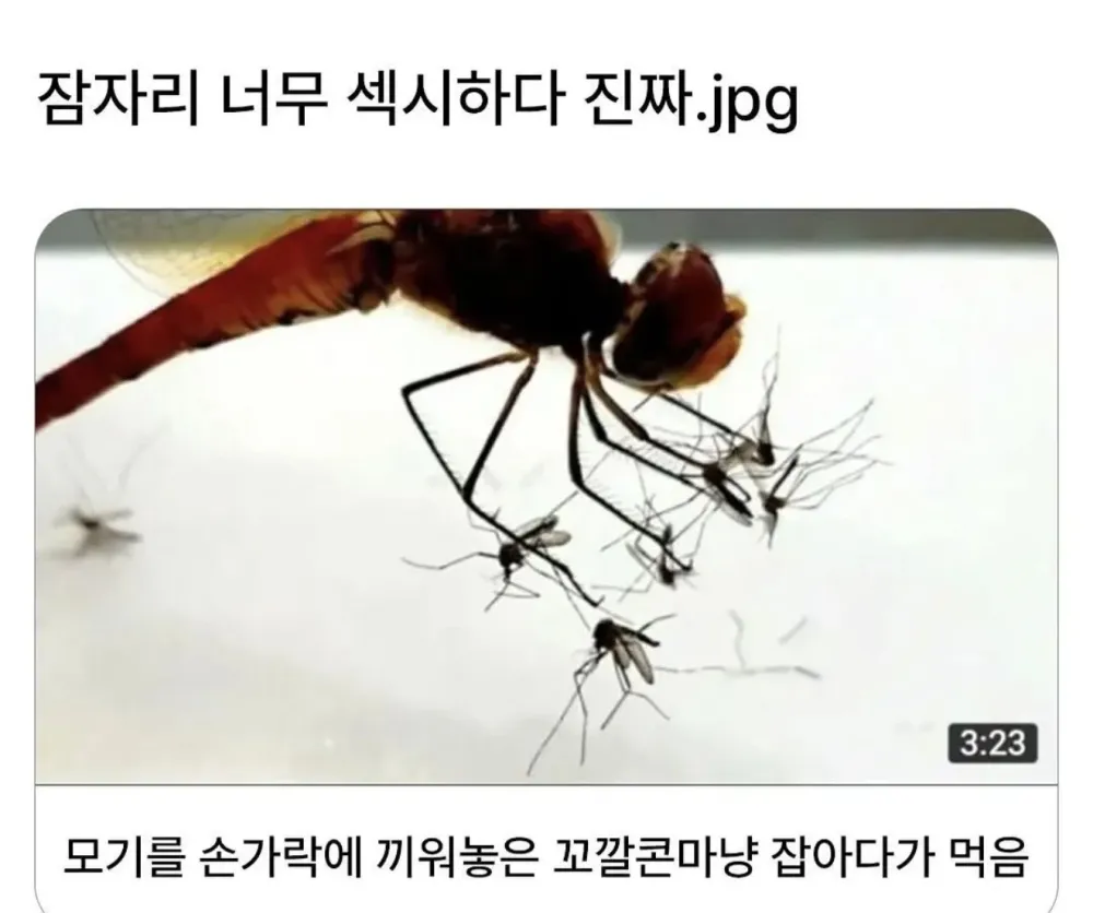 image.png.webp