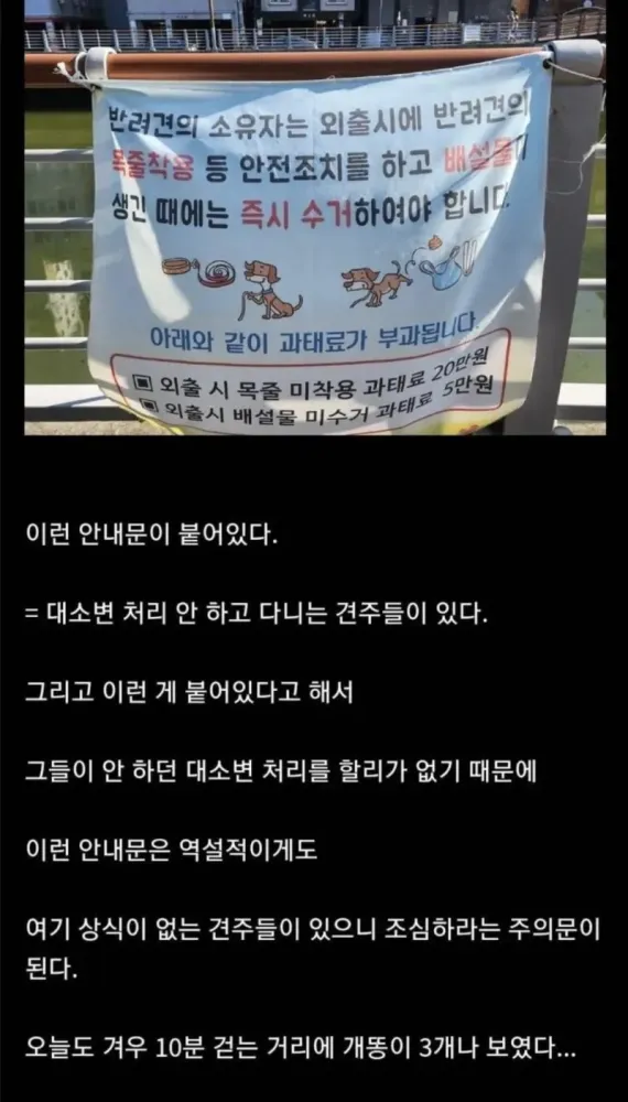 image.png.webp